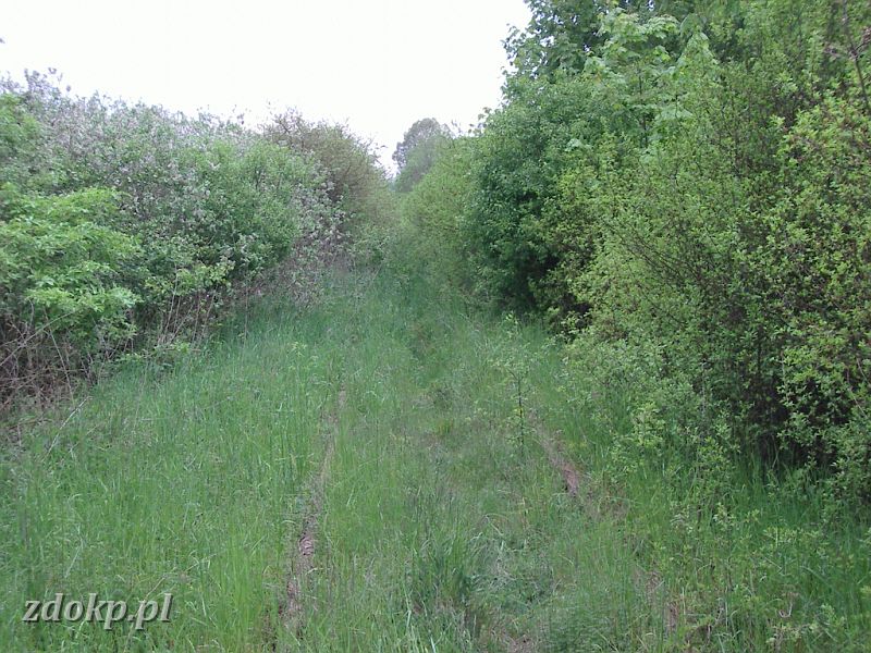 2005-05-23.087 stawiany-kiszkowo widok na slawe.jpg - linia Gniezno Winiary -Sawa Wlkp., ok. 32.9 km, 12B - widok w kierunku Kiszkowa